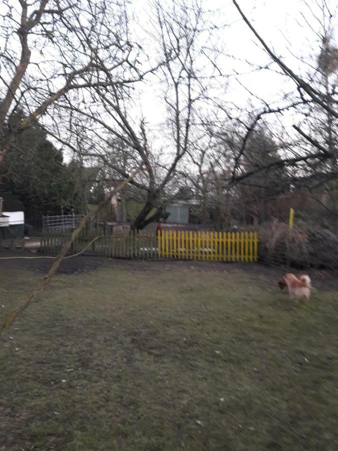 Hundefreundliches Zimmer 武斯特马克 外观 照片
